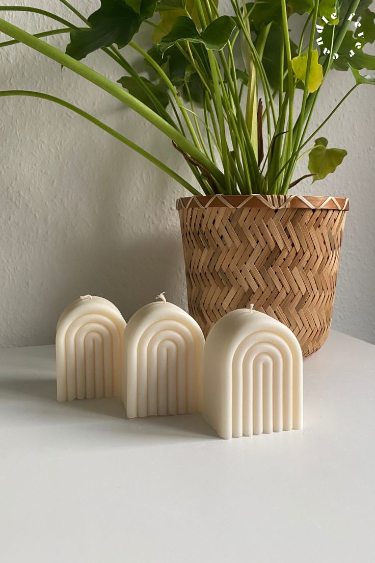 Rainbow Orchid Candle 2